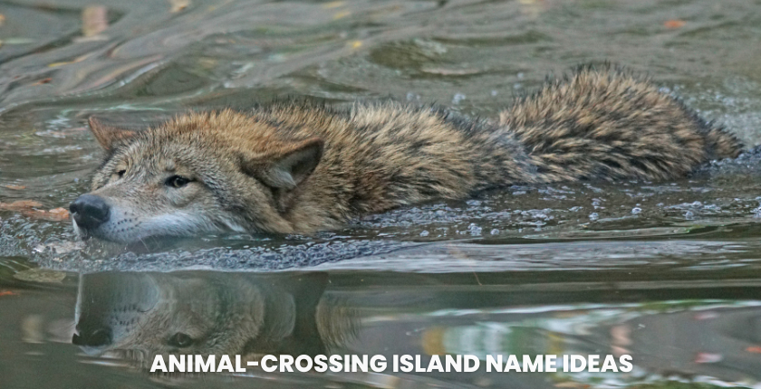 Animal-Crossing Island Name Ideas