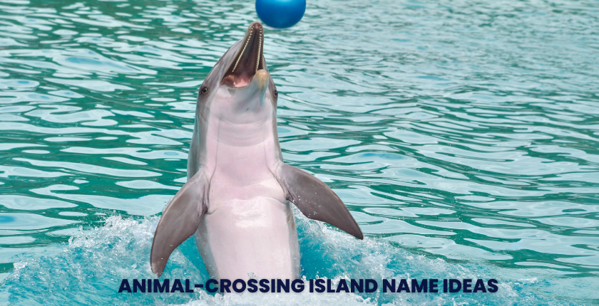Clever and Punny Animal Crossing Island Names