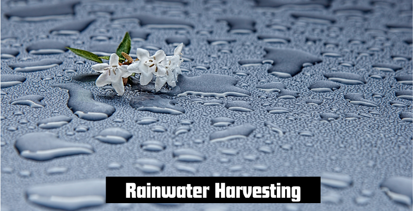 How to Implement Rainwater Harvesting at Home in Ireland?