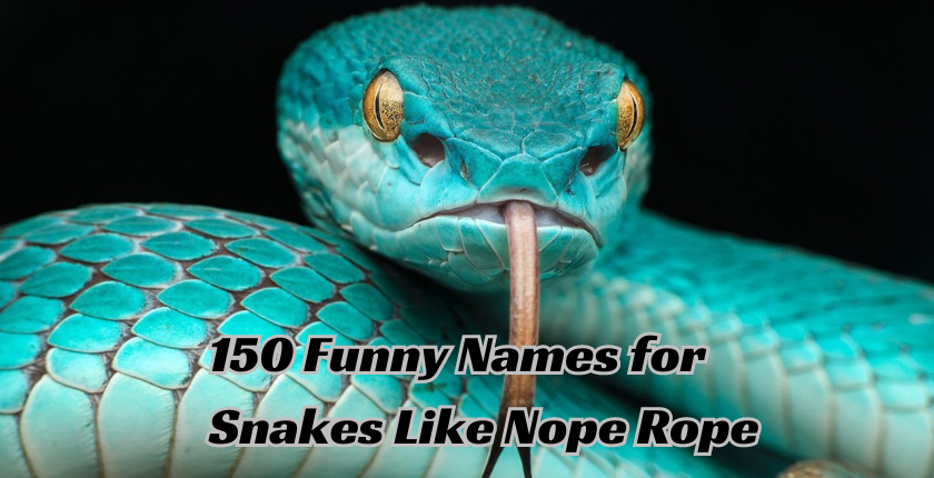 Funny Names for Snakes Like Nope Rope